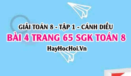 Giải bài 4 trang 65 Toán 8 Tập 1 SGK Cánh Diều